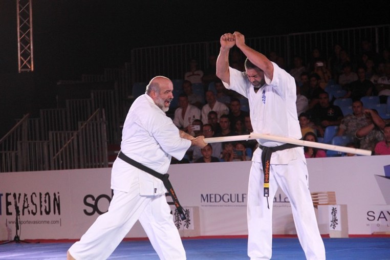 Martial Arts Festival